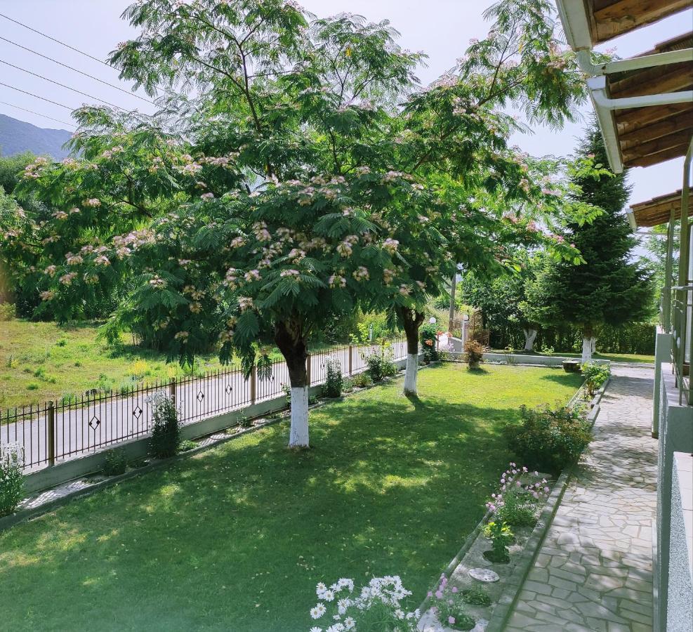 Zisis Garden Studios Ioannina Extérieur photo