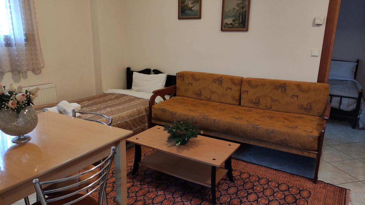 Zisis Garden Studios Ioannina Extérieur photo
