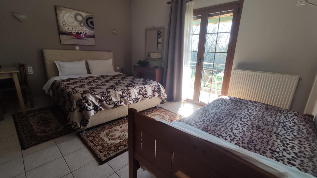 Zisis Garden Studios Ioannina Extérieur photo