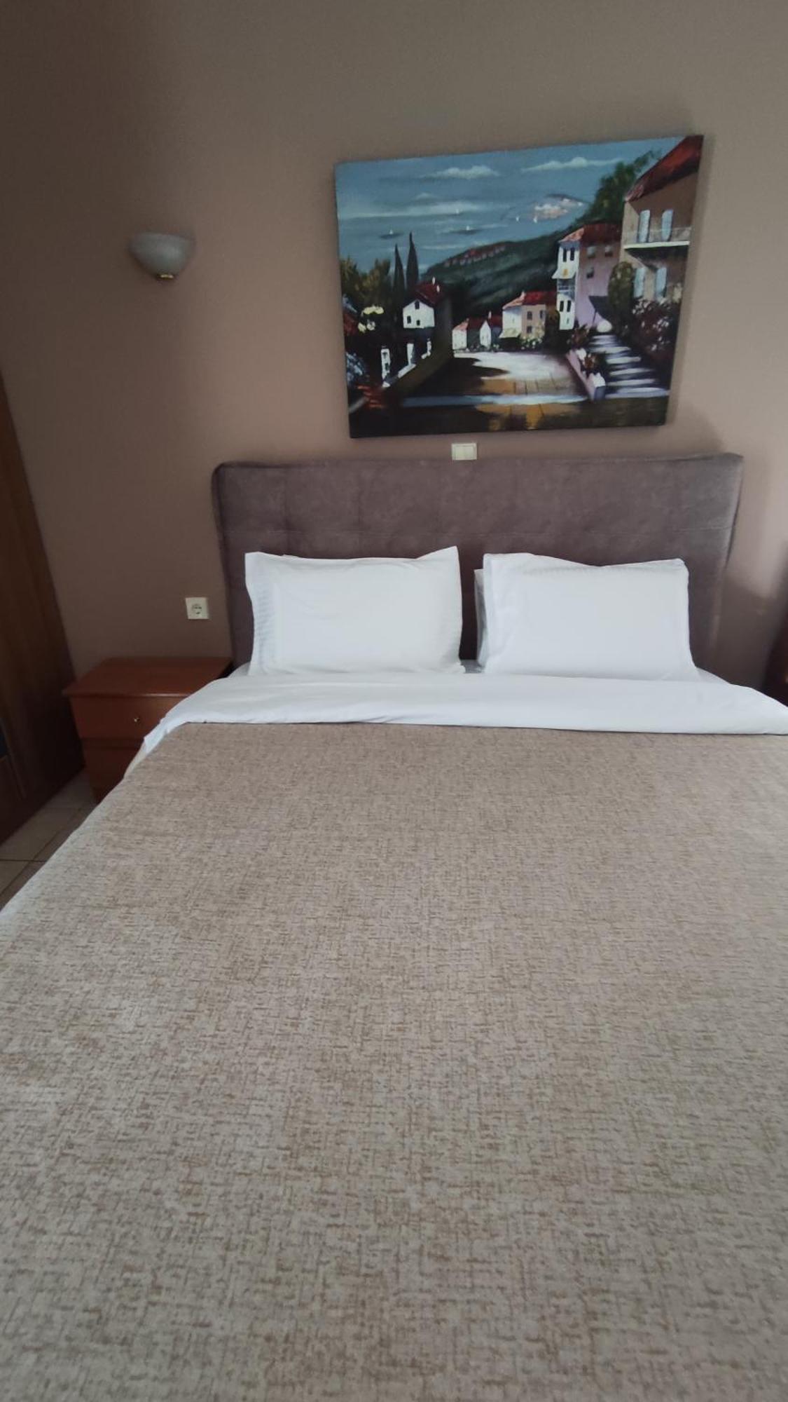 Zisis Garden Studios Ioannina Chambre photo