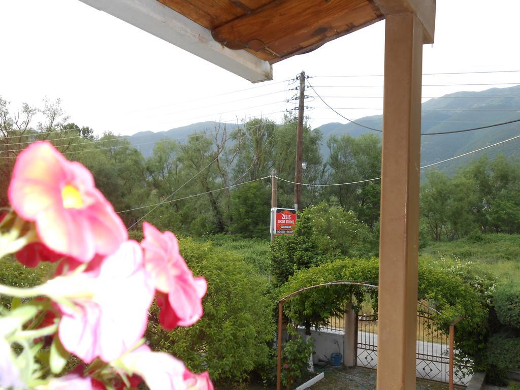 Zisis Garden Studios Ioannina Extérieur photo