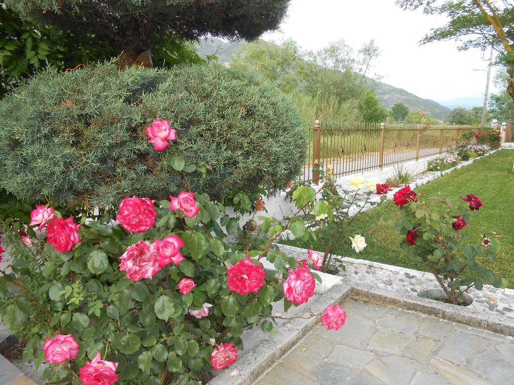 Zisis Garden Studios Ioannina Extérieur photo