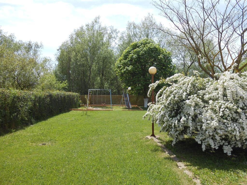Zisis Garden Studios Ioannina Extérieur photo