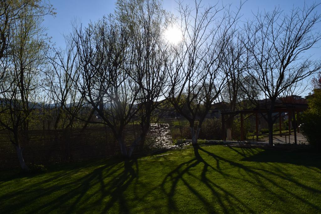 Zisis Garden Studios Ioannina Extérieur photo