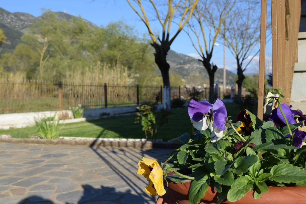 Zisis Garden Studios Ioannina Extérieur photo