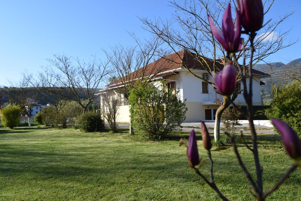 Zisis Garden Studios Ioannina Extérieur photo