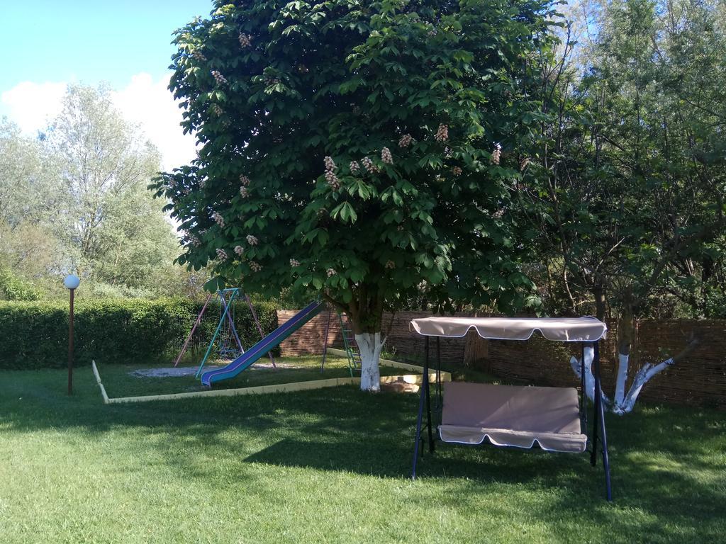 Zisis Garden Studios Ioannina Extérieur photo